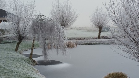 De winter kan ook heel mooi zijn